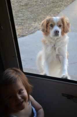 *NWR* Show me your pets/animals! *PICS*