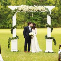 Which back drop? - 2