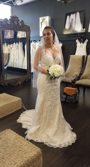 Said Yes! to the dress  