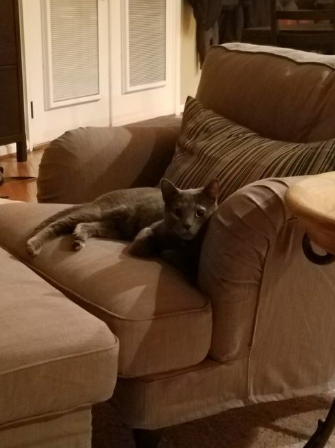 NWR:  Show me your fur babies!
