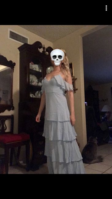 Sister's bridesmaid dress arrived
