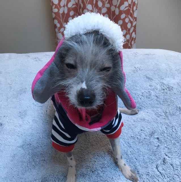 The line of 1000+ people