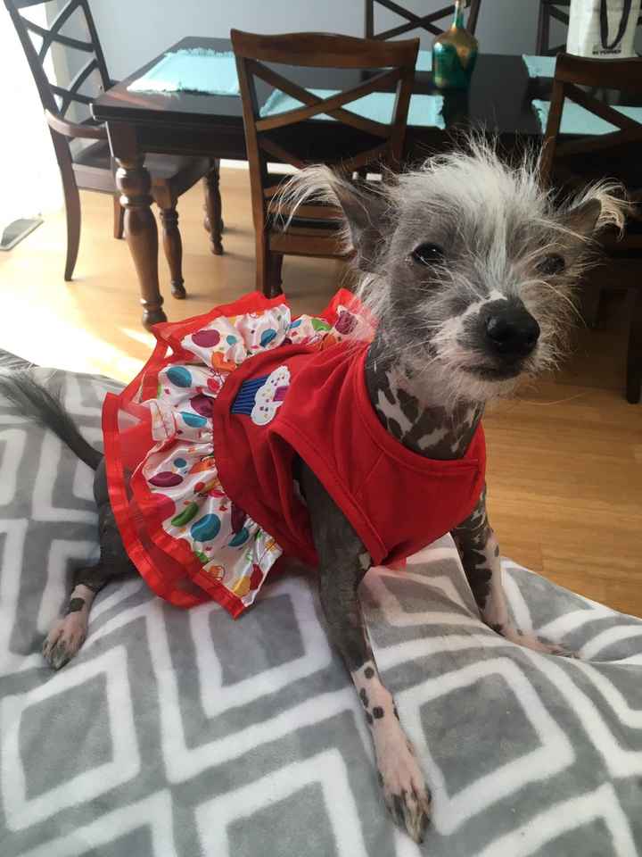 Need some positivity: Sick for the Wedding?