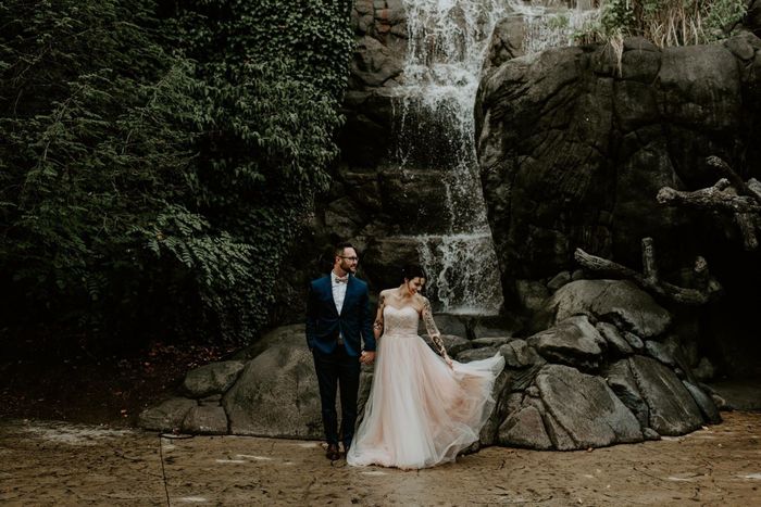 Bam: 5/26 wedding at the zoo! - 2