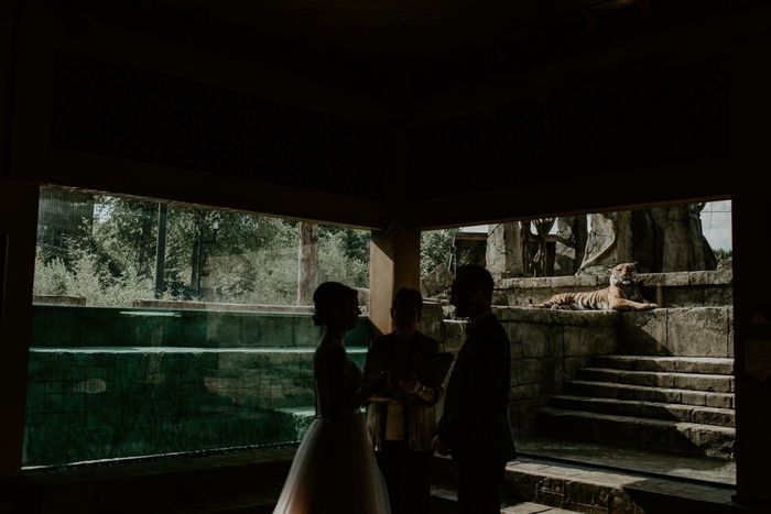 Bam: 5/26 wedding at the zoo! - 4