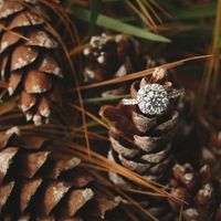 Picking Out the Ring - 1