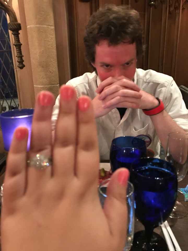 Proposal pics at Disney! - 1