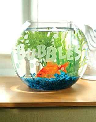 Instead of a sign in book or picture- I'm looking for other ideas for sign in ....