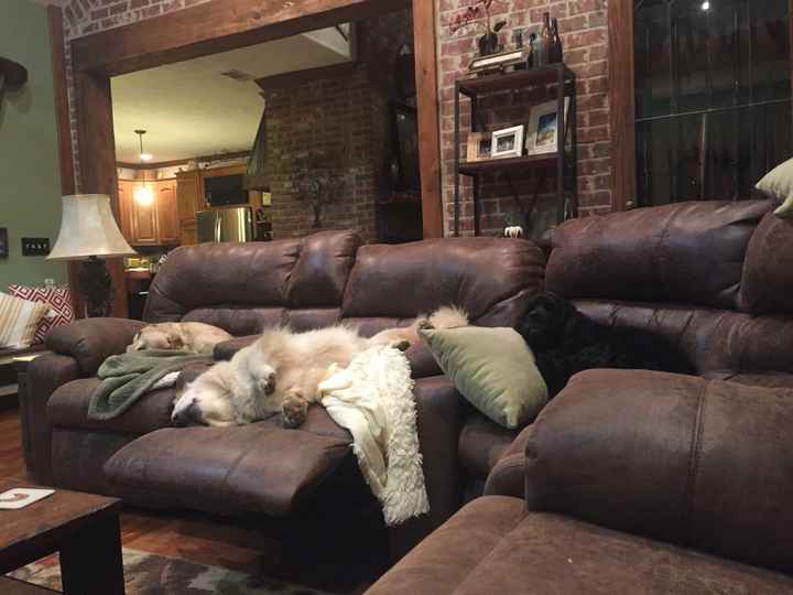 Let me see those fur babies!