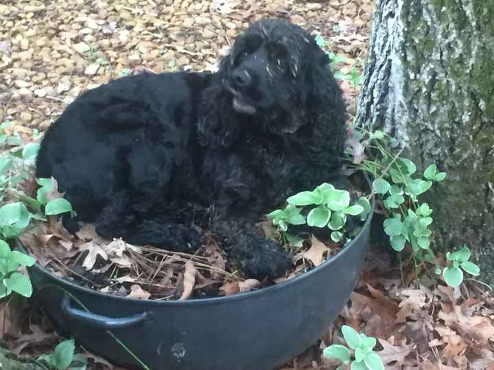 NWR- let me see your fur babies, awake and scared