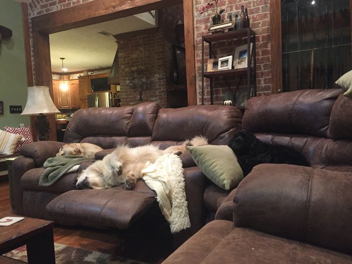 NWR: Show me your pups!