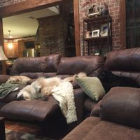 NWR- let me see your fur babies, awake and scared