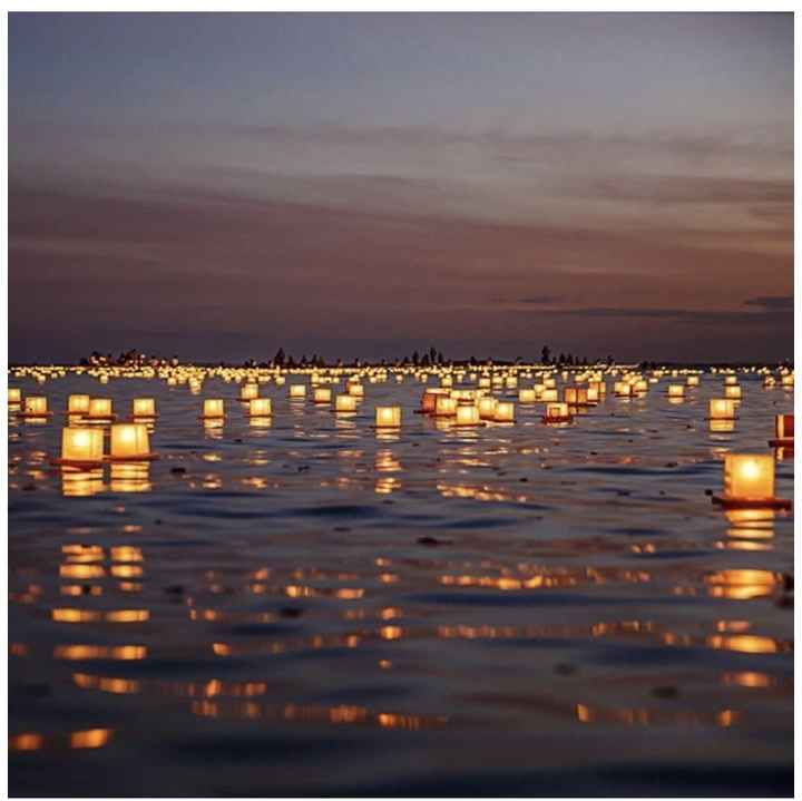 Help! It's a wedding, not a pool party 3