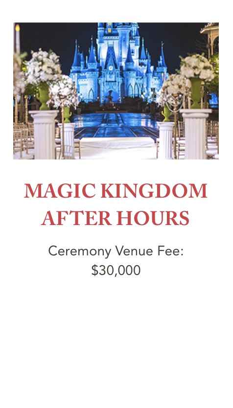 How Much Does a Disney Wedding Cost? 3