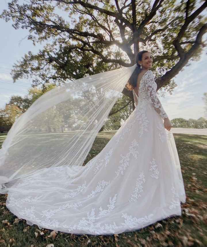 Stella york veils online