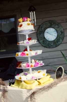 Professional Wedding Pictures finally BACK!