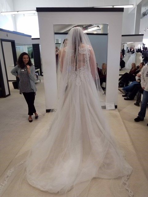 Back of Dress and Veil