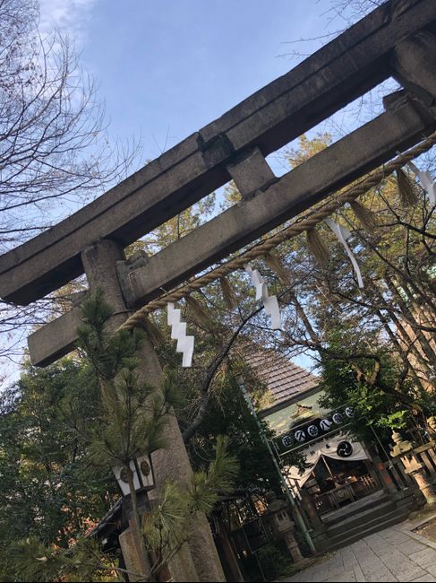 Our honeymoon to Tokyo! - 4