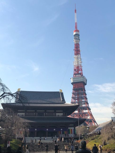 Our honeymoon to Tokyo! - 6