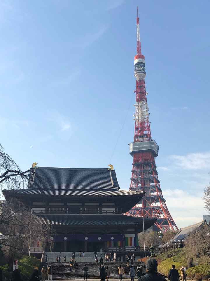 Our honeymoon to Tokyo! - 6
