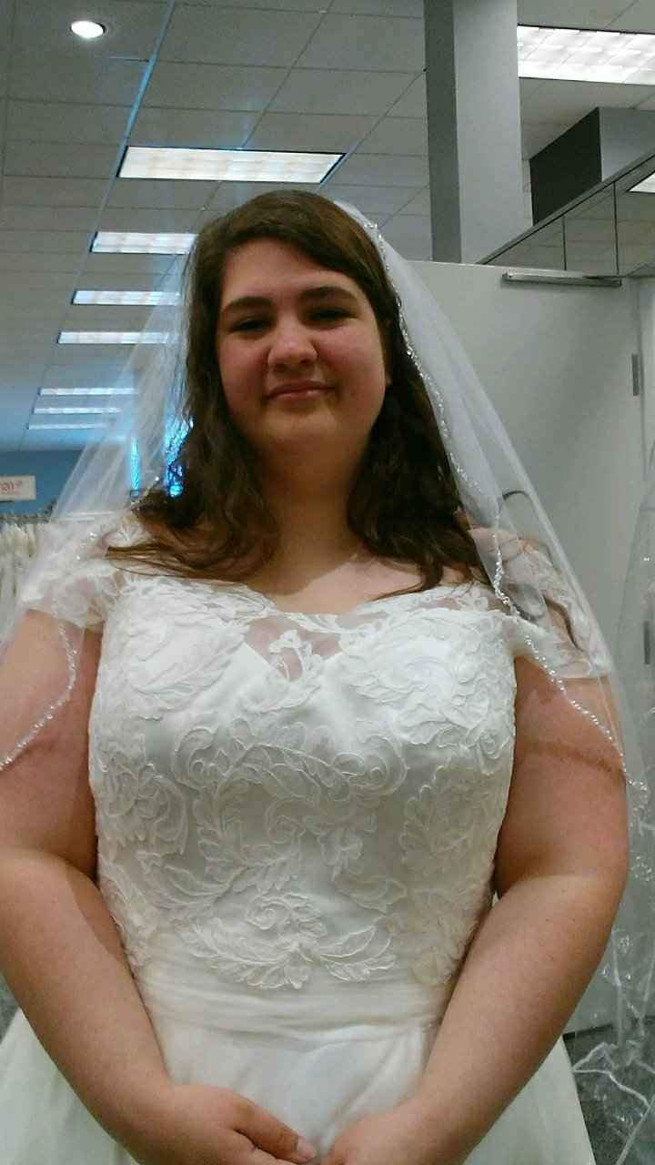 i picked my dress! - 3