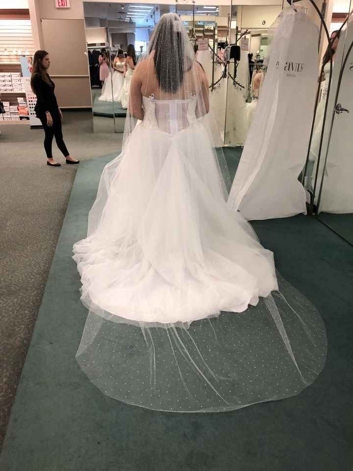 Veil opinions!! - 2