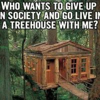 Cabin in Virginia - 1