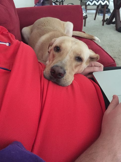 NWR: Lets talk pets.