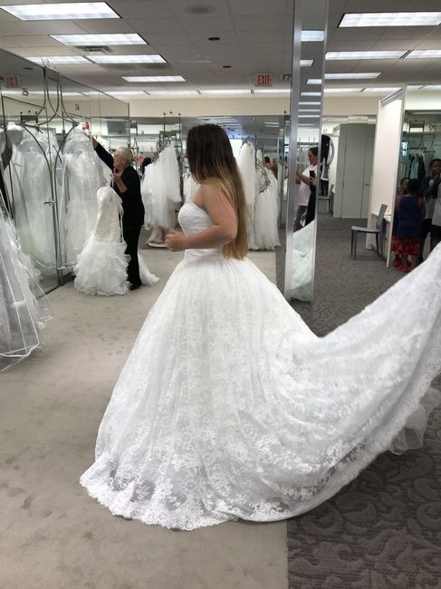 Types of bustle for my dress? - 1