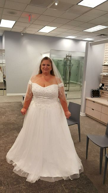 Plus size brides? - 1