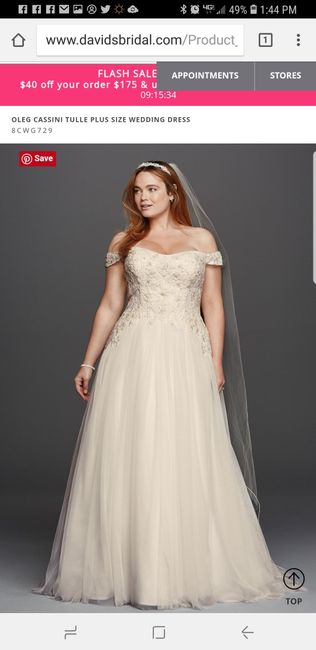 Show me your David's Bridal Dresses 7