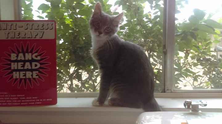 "I'm your helper, Mummy!"