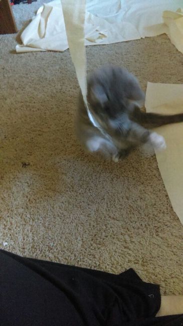 My tiny assistant, Greg the Gargoyle, Archduke of Meeperton! He says "I'm helping Mommy!"