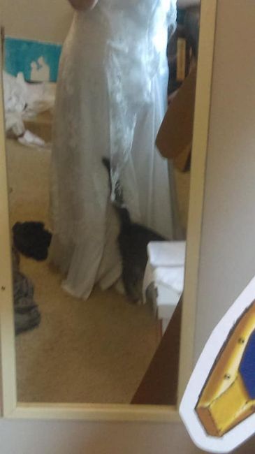 Lined dress with lace, side