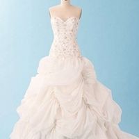 Hey Ladies, Show us "The Dress"!