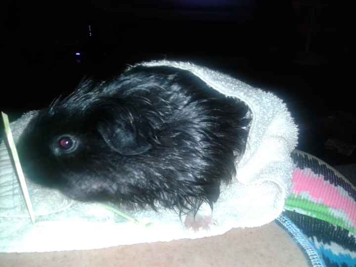 Its Fursday! Show me your furbabies! :)