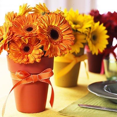 Help with Centerpieces!!!!