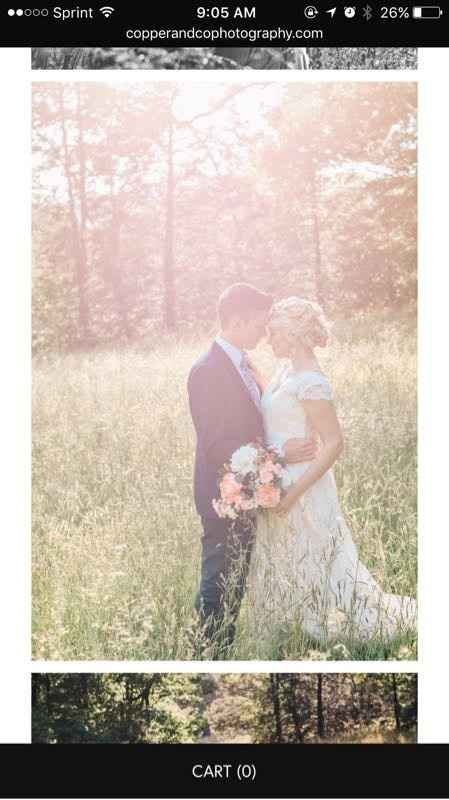 Photographer MIA...again