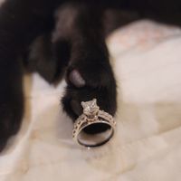 Brides of 2022! Show us your ring! - 1