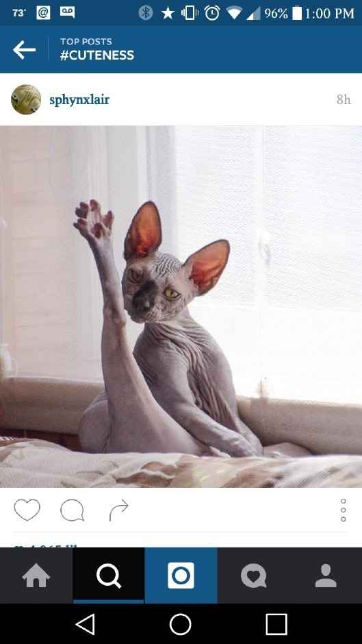 NWR- Does anybody want a dog?