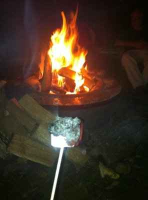 Wedding Recap, Advice and Pictures!!