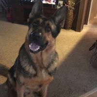 Break from the election!