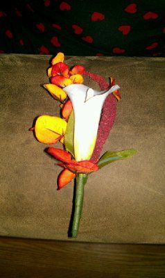 What do you think????