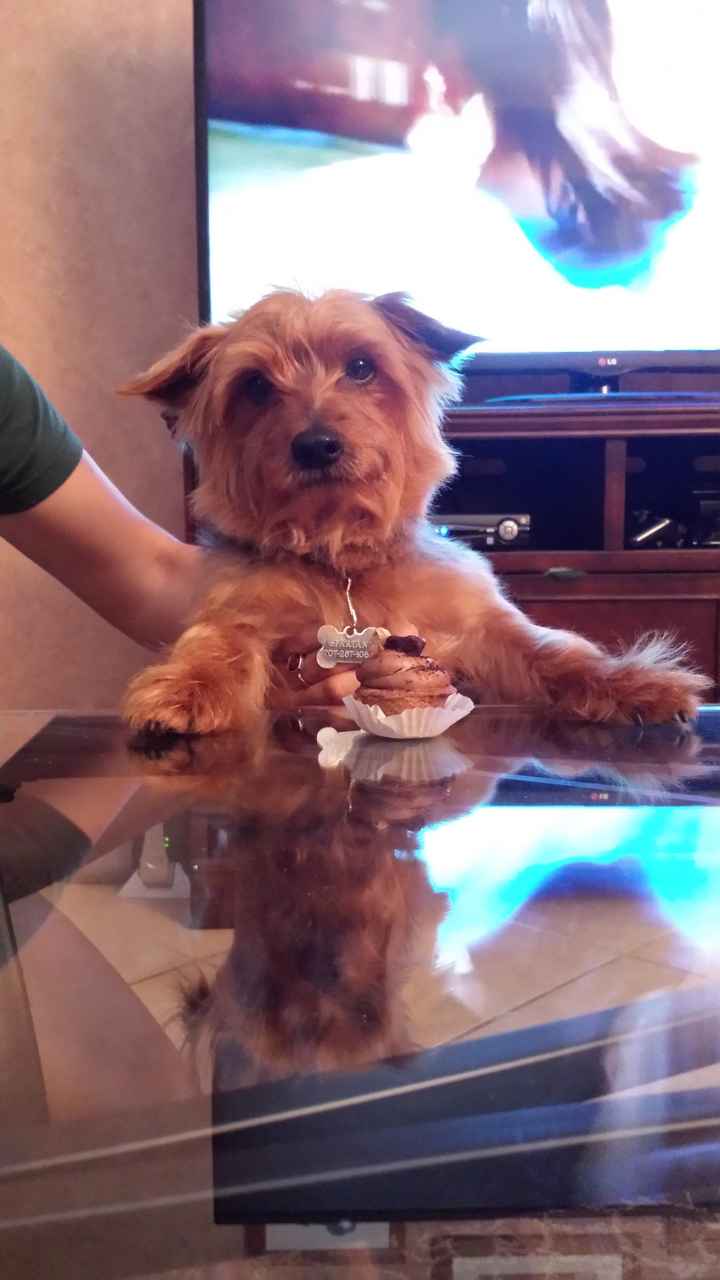 NWR: post pics of your pets!!