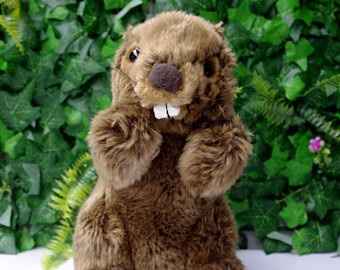 Groundhog Toy
