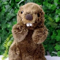 Groundhog Toy