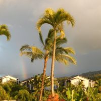 Hawaii Honeymoon - recommendations please!!!