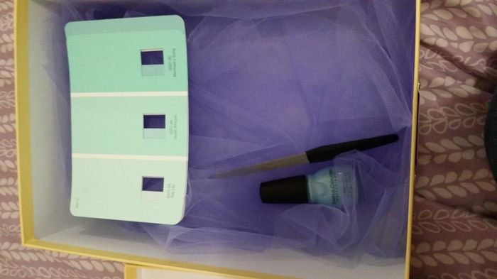Bridesmaid Boxes? has anyone asked their maids with them??