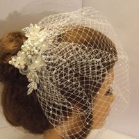 Birdcage Veil - 1