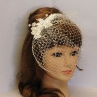 Birdcage Veil - 2